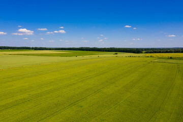 Aerial view of green field and blue sky.