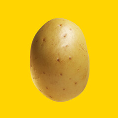 Perfect potato isolated on colorful background.