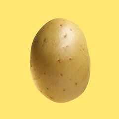 Perfect potato isolated on colorful background.