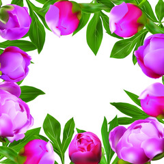    Vector frame of peonies flowers, buds and green leaves.  Greeting card with summer pink flowers for collage decoration and invitation.