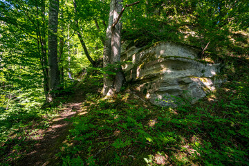 Fantastic hike near Sipplingen on Lake Constance