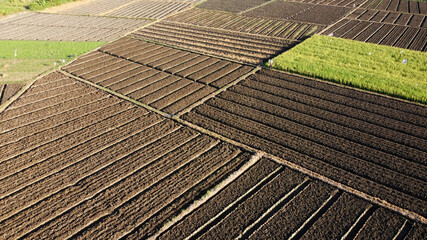 Aerial view of land prepared for planting and cultivating the crop. Rows of soil before planting