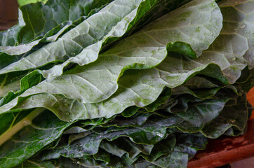 close up on pile of wet cabbage leaves over a cutting board