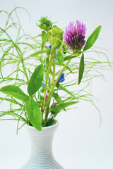 Bright colors of a hot summer. Bouquet of field and meadow plants. Bright green herbs.