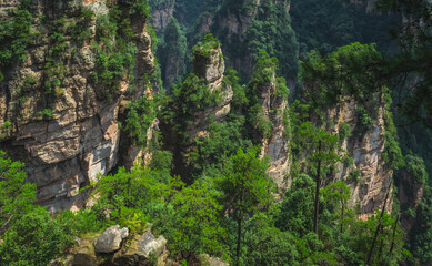 Fototapeta na wymiar Stunning Mountain formations in Zhangjiajie