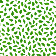 Leaves seamless pattern 