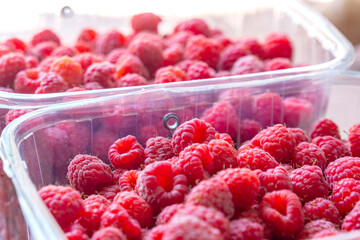 Red raspberries in plastic package box, fruit