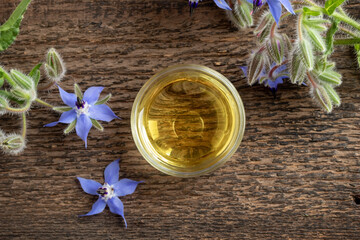 A bowl of borage oil with blooming borage plant