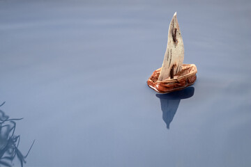 A boat made from a nut shell and birch bark floating on water