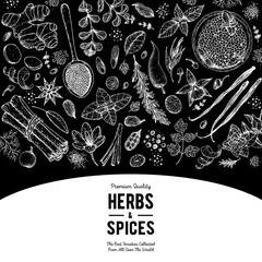 Herbs and spices hand drawn vector illustration. Aromatic plants. Hand drawn food sketch. Great for package. Vintage illustration. Card design. Sketch style. Spice and herbs black and white design.