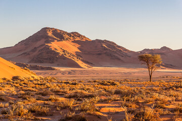 Duna de arena naranja iluminada por la luz de una puesta de sol cerca de la Duna 45, en el Parque Nacional Namib-Naukluft, en Namibia.