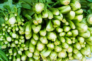 Close-up of a bunch of green onions in a store window