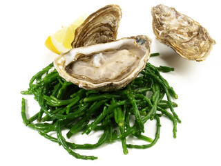 Fine de Claire Oyster with Lemon on white Background