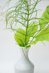 Bright colors of a hot summer. Bouquet of field and meadow plants. Bright green herbs.