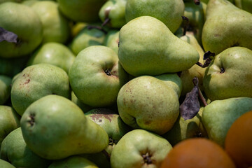 Green pears on store counter.