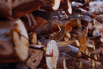 cut and dry firewood stacked for transportation