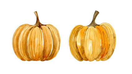 Watercolor set of ripe pumpkins. Hand-drawn illustration isolated on the white background. Delicious bright vegetables.