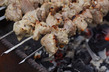 Close up of toasted shashlik on skewers. Succulent barbecue roasting on chargrill. Concept of picnic outdoor.