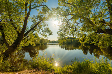 Beautiful wide-angle summer sunny landscape of russian nature with green trees and pond with sunlight reflected in water surface