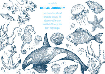 Sea animals hand drawn collection. Sketch illustration. Killer whale, sea horse, jellyfish, fish, seaweed, seashells illustration. Vintage design template. Undersea world. © DiViArts