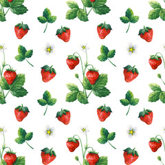 Garden strawberry. Seamless pattern with red berry, flower, shrub, leaves. Watercolor illustration on a white background. Universal stock ornament for seasonal design