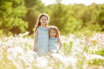 Two little girl sisters walk in a field in the summer