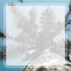 Photo of tall green palm trees against a blue sky in the frame