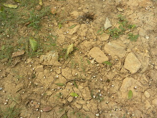 Beige color garden soil textured background