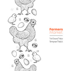 Chicken, chick and eggs hand drawn, vector illustration. Vintage chicken sketch. Design element. Chicken farm label.