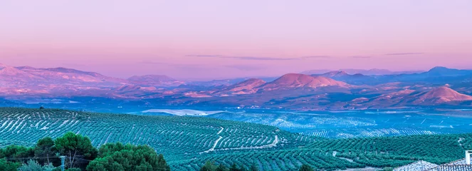 Fototapeten Blick auf den Sonnenuntergang von Olivenbaumfeldern mit Cazorla-Bergen im Hintergrund im Dorf Baeza, Jaen, Andalusien, Spanien © Alfredo