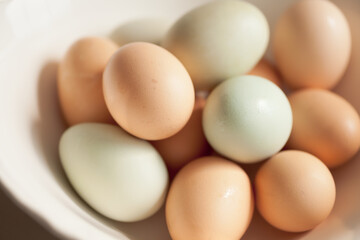 Baking with farm fresh food organic eggs eggshell colors brown to blue green in natural light