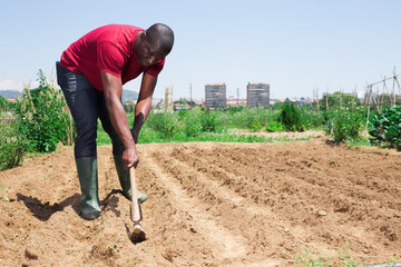 Portrait of african american working with hoe on field
