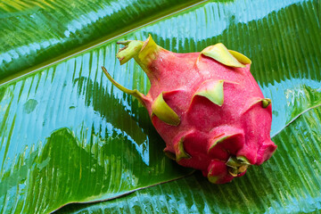 Ripe dragon fruit on a wet green leaf. Vitamins, fruits, healthy foods