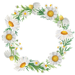 Watercolor wreath of wildflowers and daisies. Isolate on white. For invitations, cards, banners, design.