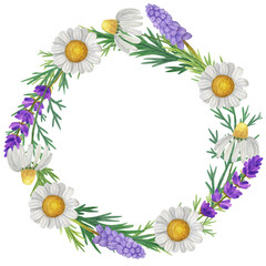 Fototapeta na wymiar Watercolor wreath of wildflowers and daisies. Isolate on white. For invitations, cards, banners, design.