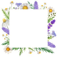 Obraz premium Square Watercolor frame with wildflowers, chamomile, grass. Isolate on white. For invitations, business cards, banners