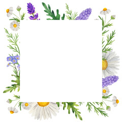 Square Watercolor frame with wildflowers, chamomile, grass. Isolate on white. For invitations, business cards, banners