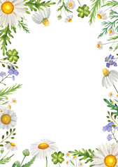 rectangular Watercolor frame with wildflowers, chamomile, grass. Isolate on white. For invitations, business cards, banners.