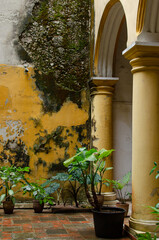 Weathered historical old house front facade in Havana, Cuba, orange texture details, plants, columns