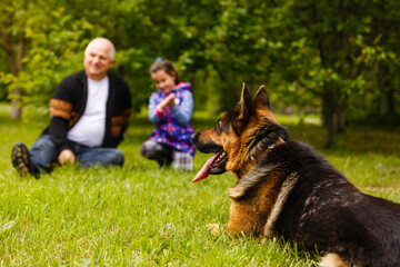 Grandfather And Granddaughter Taking Dog For Walk