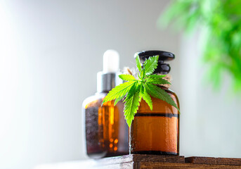 Glass bottles of hemp oil with hemp leaves.