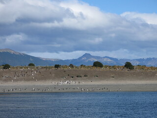 View of Tierra del Fuego (Land of Fire) from the Beagle Channel - blue water, a colony of magellanic penguins, mountains and dark clouds, Argentina 