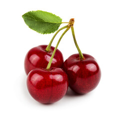 Three sweet cherries with cherry leaf