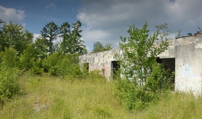 Obraz premium Ruins in the forest – Gdynia – Ruiny na terenie dawnej jednostki wojskowej – Trójmiejski Park Krajobrazowy.