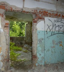 Ruins in the forest – Gdynia – Ruiny na terenie dawnej jednostki wojskowej – Trójmiejski Park Krajobrazowy.