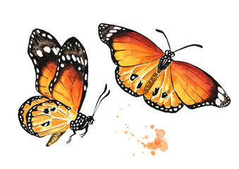 Flying summer butterflies set. Hand drawn watercolor illustration isolated on white background