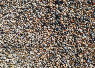 The texture of small, different-sized multi-colored sea shells mixed with gray and yellow sand. Photograph, top view.