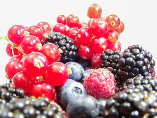 Salade de fruits rouges, myrtilles, framboises, mures, cranberry