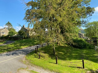 Trees next to a road, near a river which flows through, Linton, Craven, Yorkshire