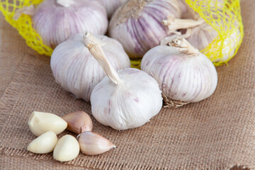 Garlic on a white background